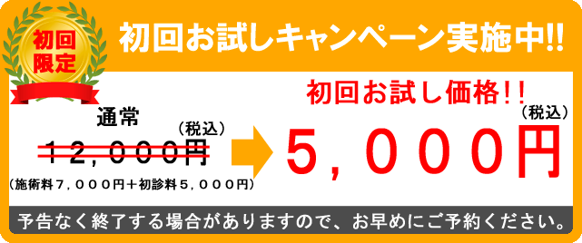 初回限定割引価格