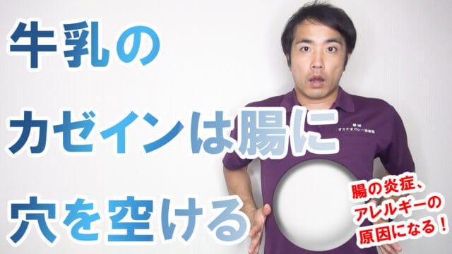 牛乳のカゼインは腸に穴を空けるs(1)