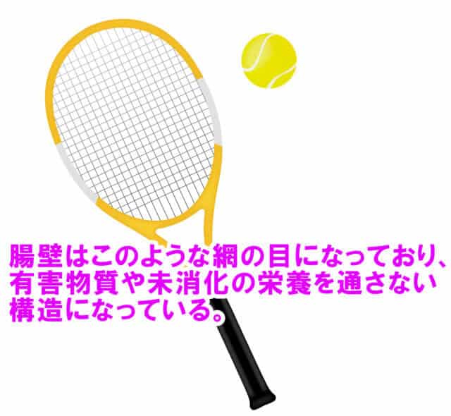 リーキーガット症候群