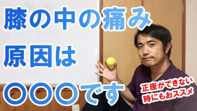 膝の中の痛みの原因は〇〇〇【簡単解消マッサージ】