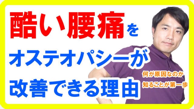 オステオパシーで腰痛が改善する理由【宮崎 整体】