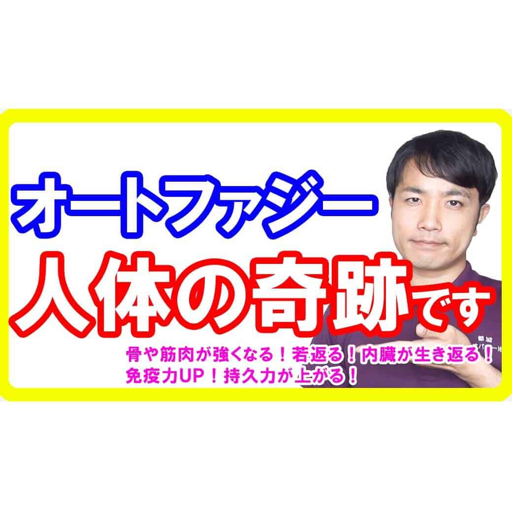 オートファジーの奇跡の効果！健康になりアンチエイジングできる分かりやすい話