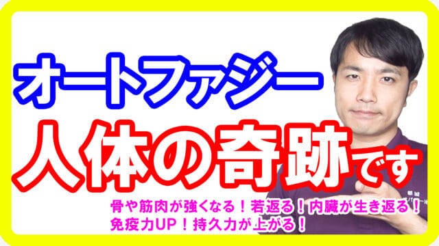 オートファジーの奇跡の効果！健康になりアンチエイジングできる分かりやすい話