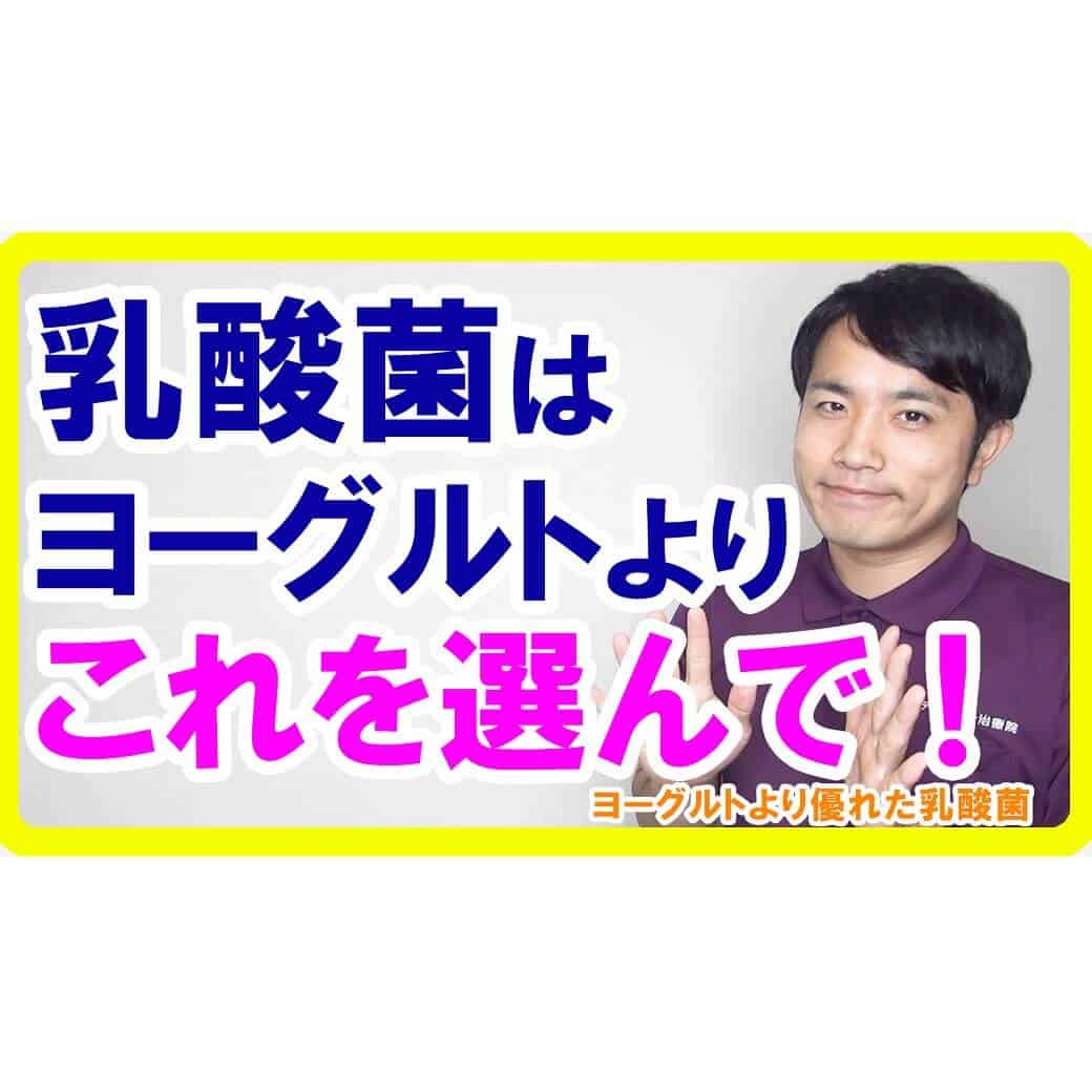 腸活・菌活で乳酸菌をとる時、実はヨーグルトよりももっと良いものがある