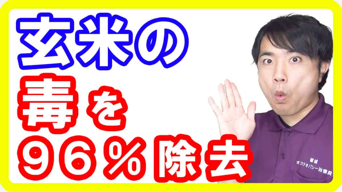 【玄米ダイエット】玄米のフィチン酸を96％減少させ美味しくする方法！浸水・発芽・発酵玄米の違いとは【English sub・全文字幕】