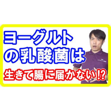 【効果なし】ヨーグルトの乳酸菌は生きて腸に届かない⁉本当に効果がある乳酸菌の条件と効果的な摂り方