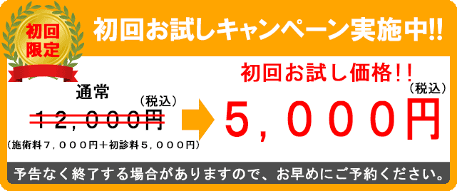 初回限定割引価格